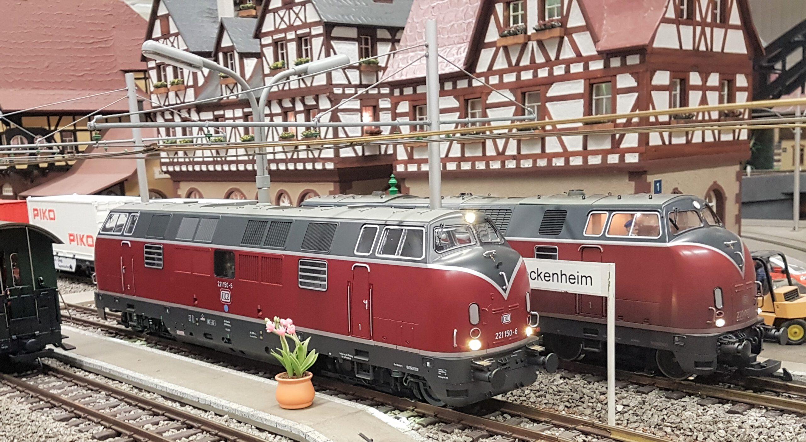 Auf unserer Anlage im Domizil: PIKO und LGB Baureihe 221. 
