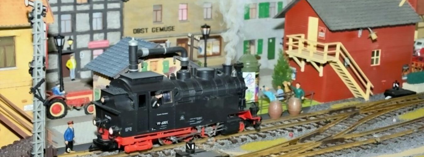 Club der LGB Freunde Rhein Sieg